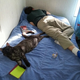 Illustration for article titled Another day at home...